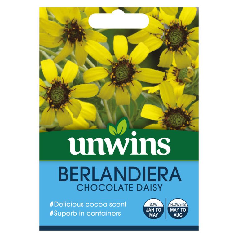 5051618031509 1 Berlandiera Chocolate Daisy Seeds.jpg